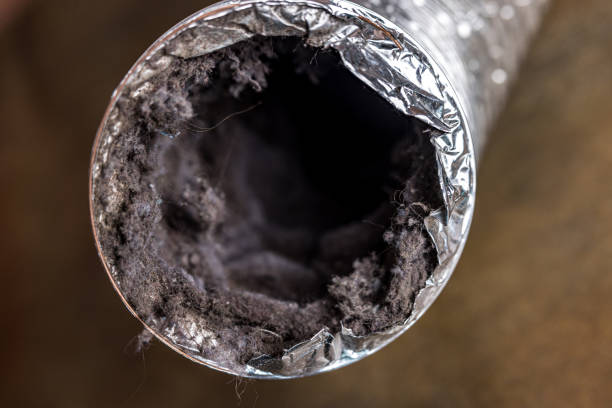 Best Emergency Air Duct Cleaning  in Dagsboro, DE